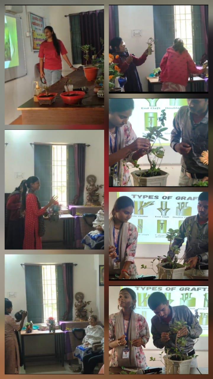 Eco-club Activity